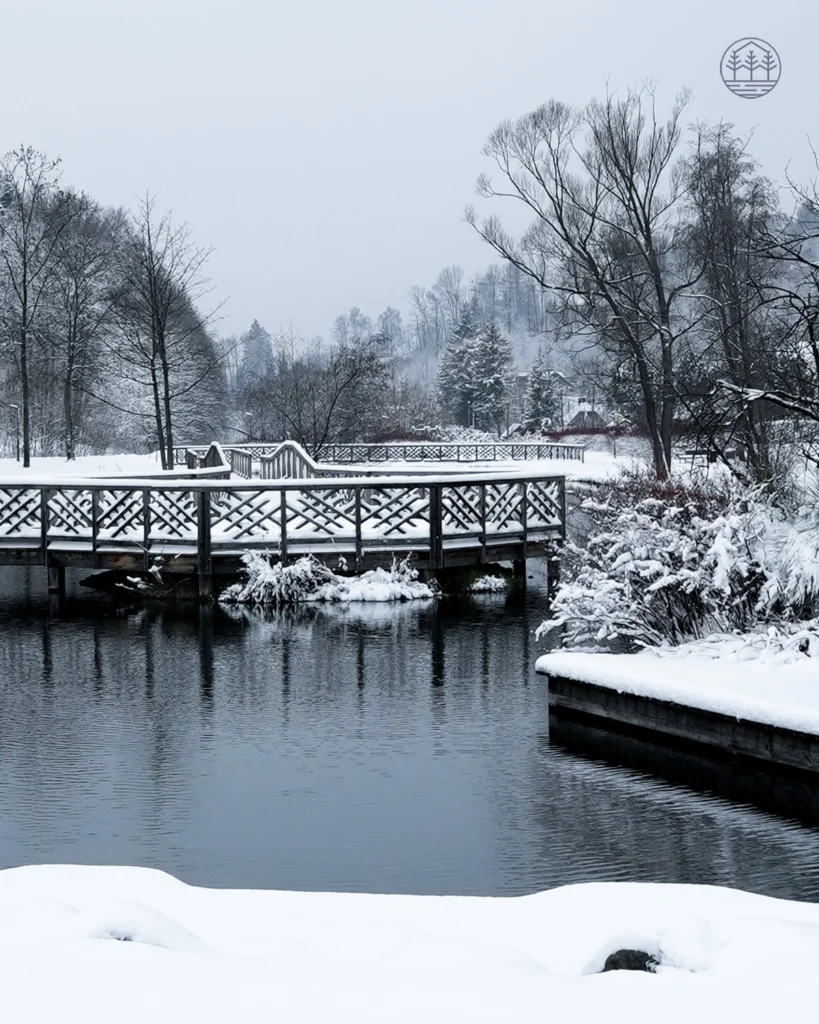 Zdjęcie - Apartamenty Vistula | Wisła